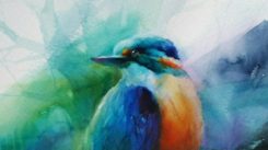 Bryce Gallery: Min Kim Kingfisher