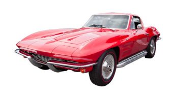 Stingray