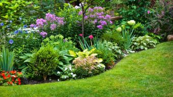 Growing Places for Miriam
