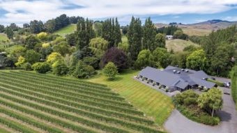 Rossendale Vineyard,