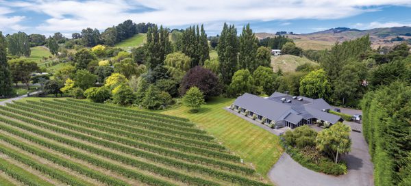 Rossendale Vineyard,