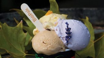 Gelato Roma