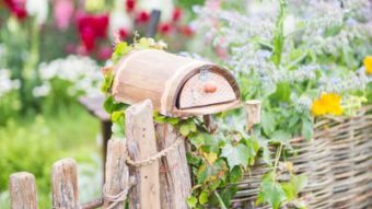 NZ Flower and Garden Show