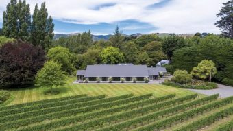 Rossendale Vineyard