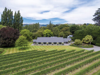 Rossendale Vineyard