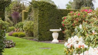 The Ellesmere Spring Fling