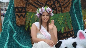 Alexandra Blossom Festival
