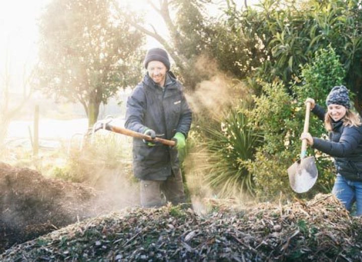 Cultivate Christchurch