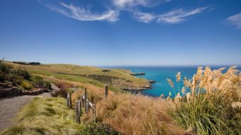 Akaroa House & Garden Tour