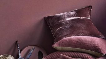 Crushing on Velvet