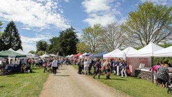 Geraldine Summer Fete
