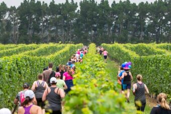 Pegasus Bay Vine Run