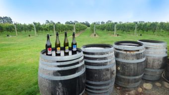 CharRees Vineyard