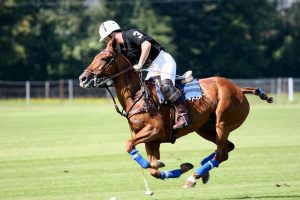 Polo at the Park
