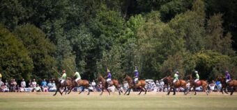 The Polo at the Park Prestige Hagley Park Polo Classic