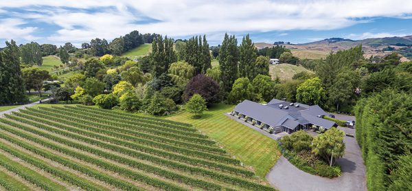 Rossendale Vineyard