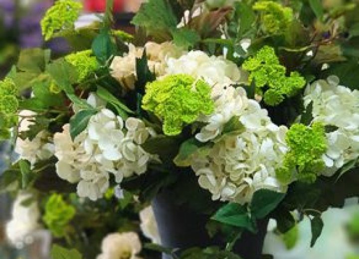 Lushingtons Garden Gifts & Café