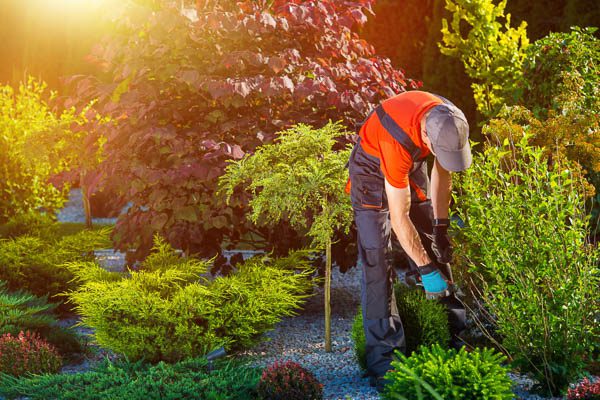 Oderings Landscaping
