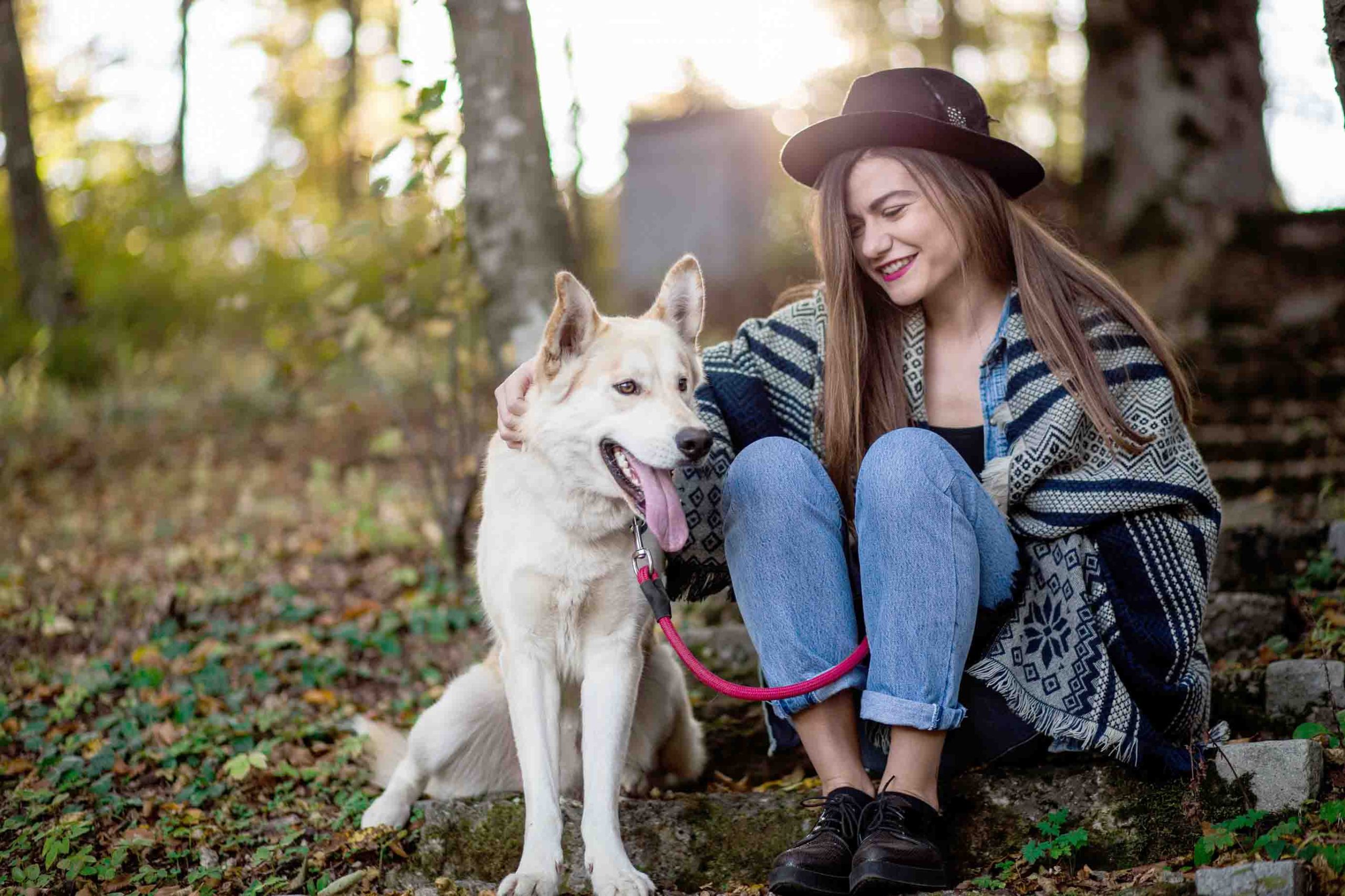 Top South Island dogfriendly campsites Metropol