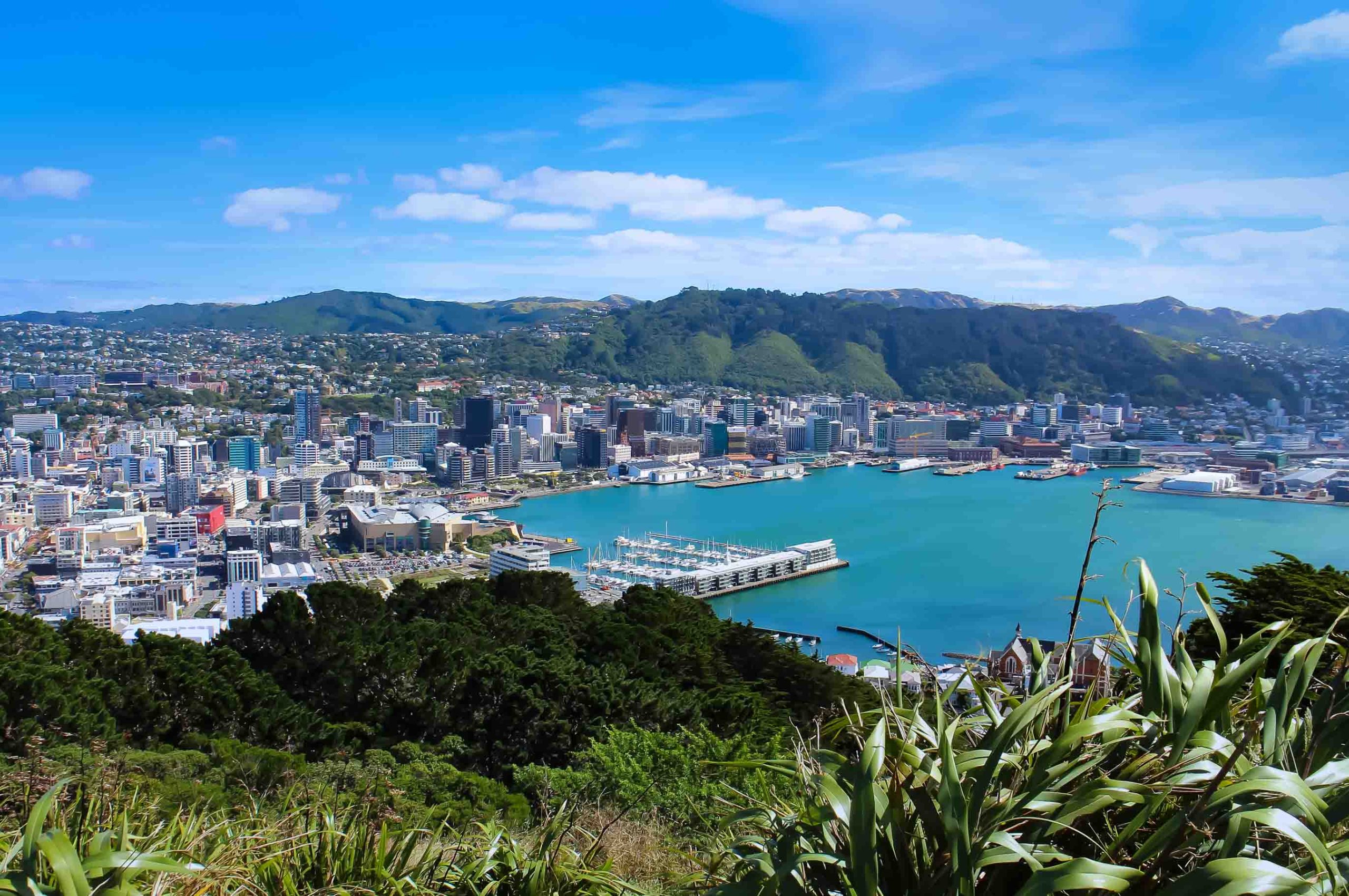 The wow of Wellington Metropol