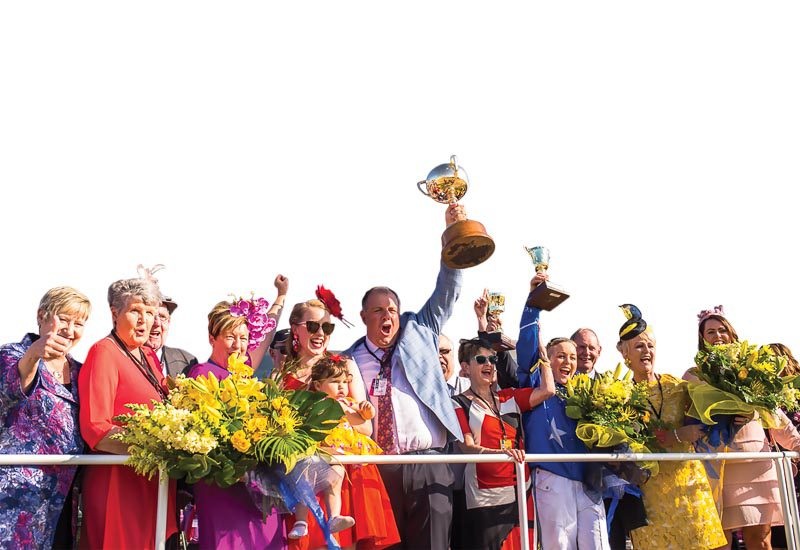 NZ Cup and Show week is back and everyone is invited Metropol